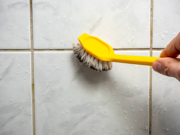 Best Mold Removal Specialists  in Rossville, TN